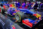 Kolekcje dla fanów Red Bull Racing